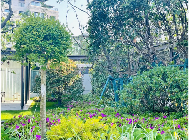 1631928591549367.png image.png