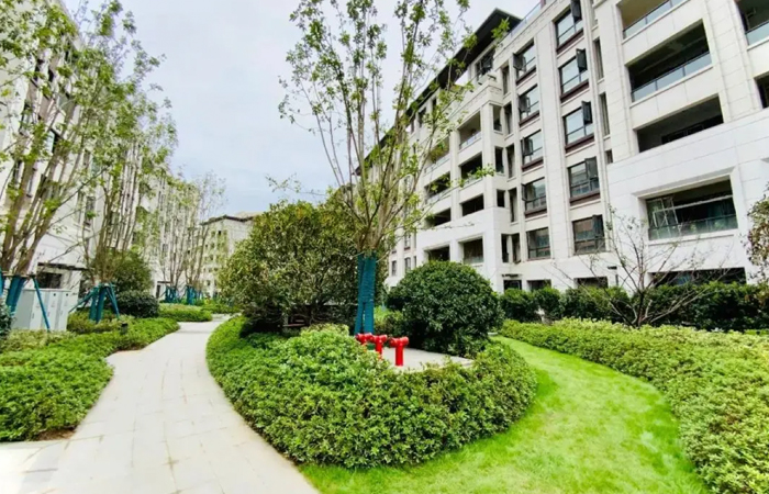 1632536183145122.jpg 4.jpg