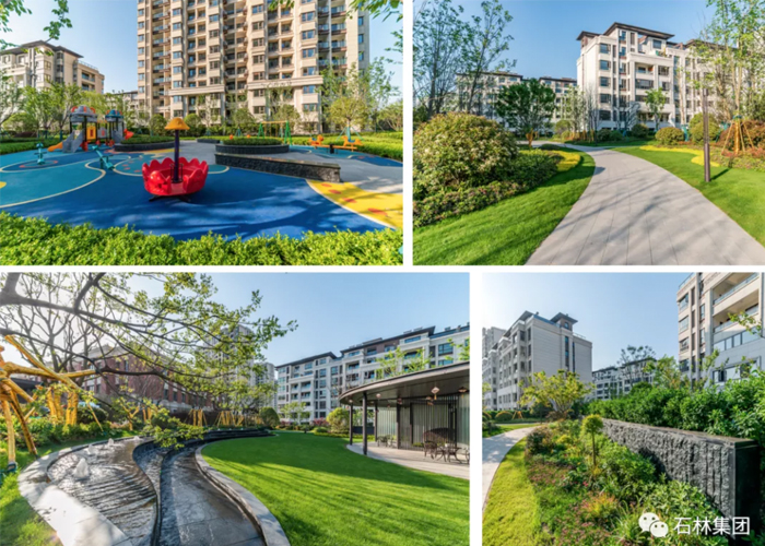 1636527199.jpg 13.jpg